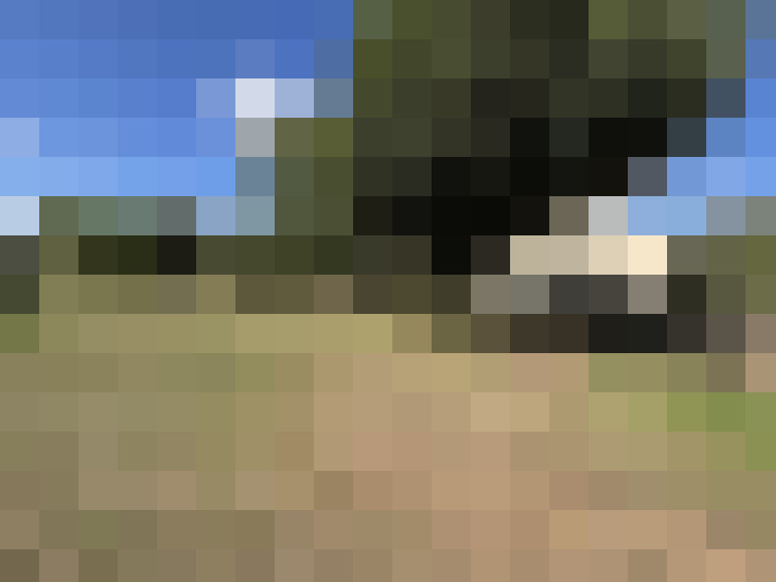  / #17