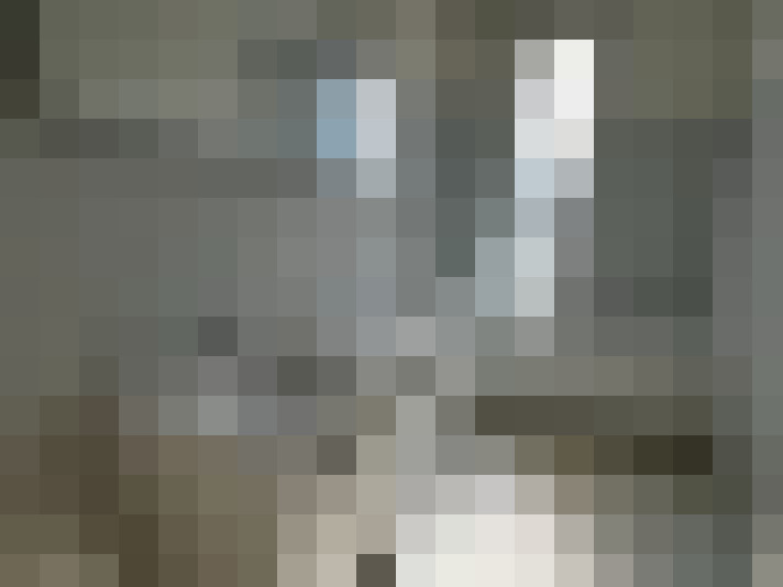  / #12