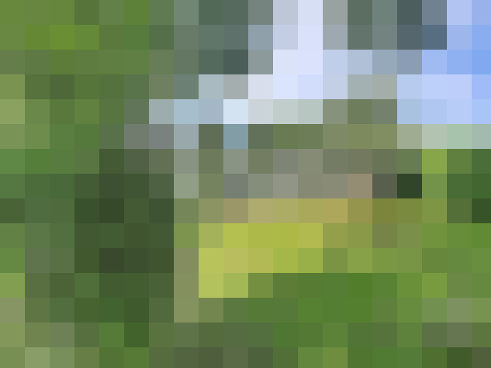  / #16