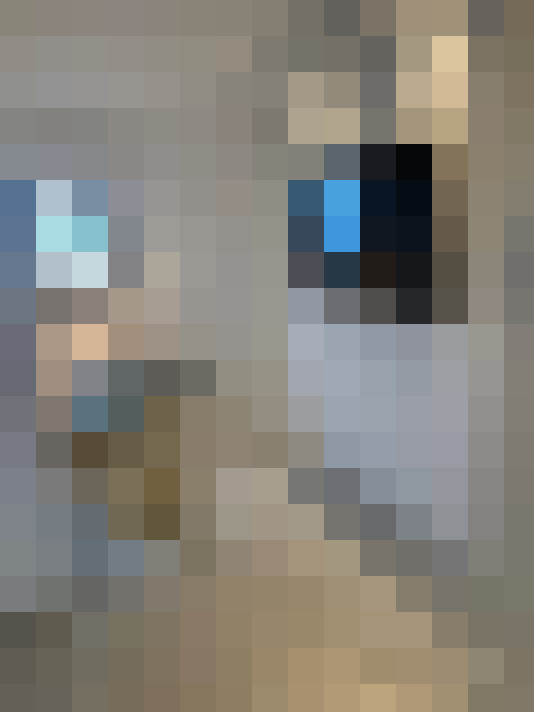  / #8