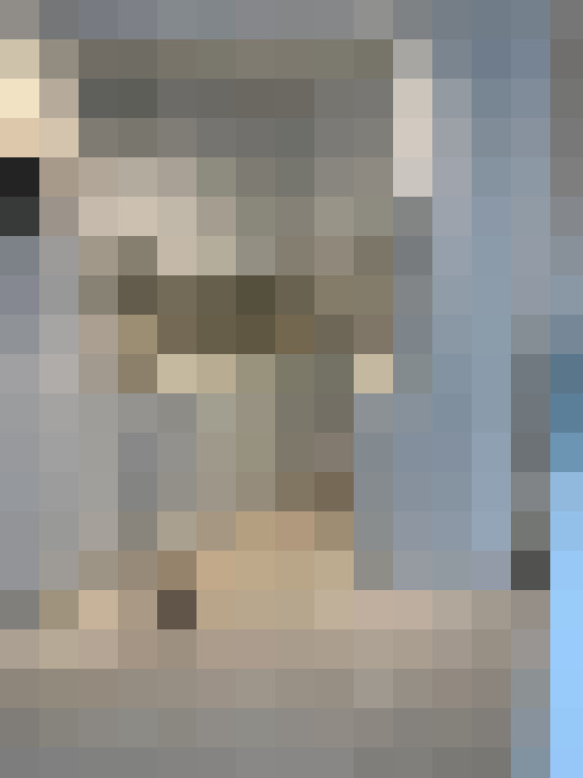  / #6