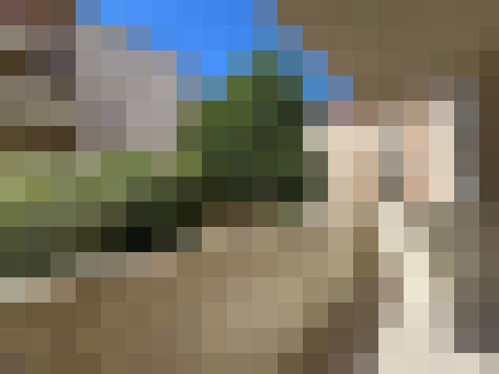  / #6