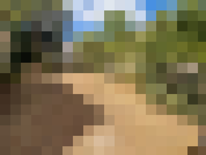  / #15
