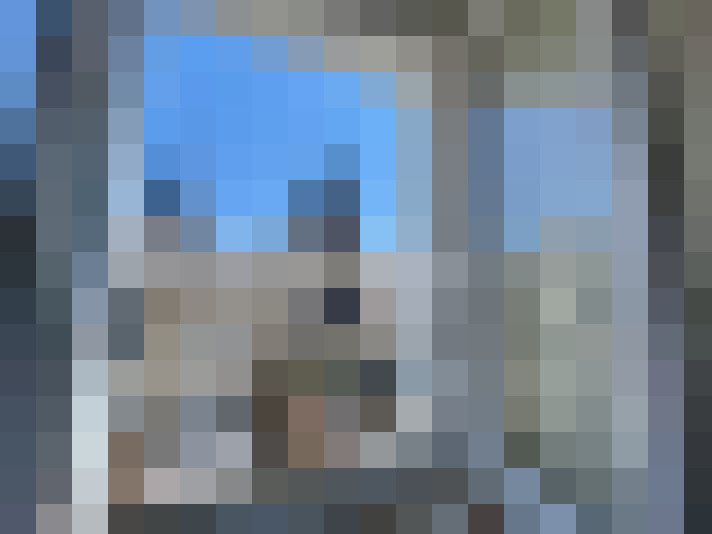  / #8