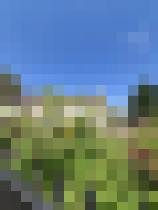  / #16