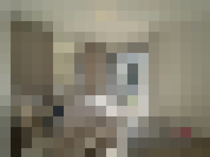  / #11