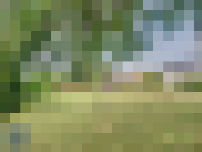  / #17
