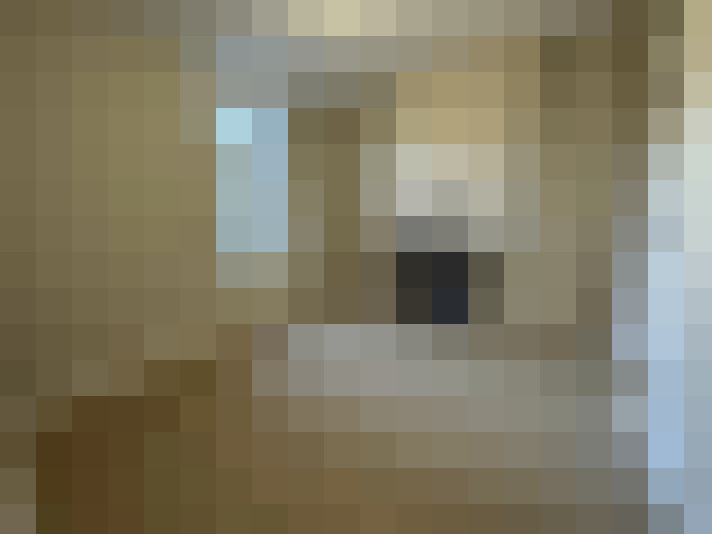  / #12
