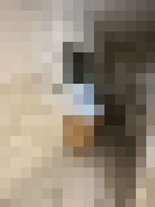  / #15