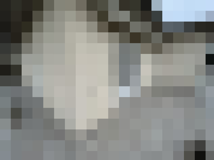  / #13