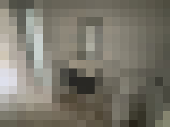  / #15