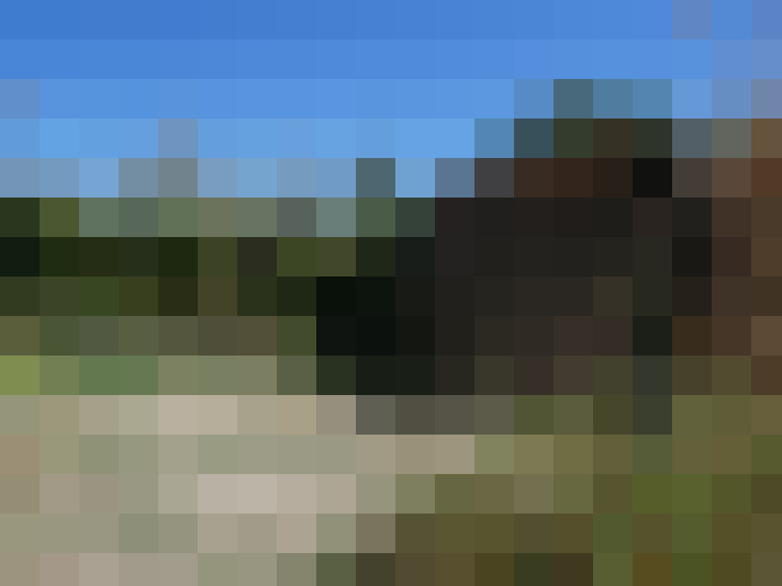  / #16