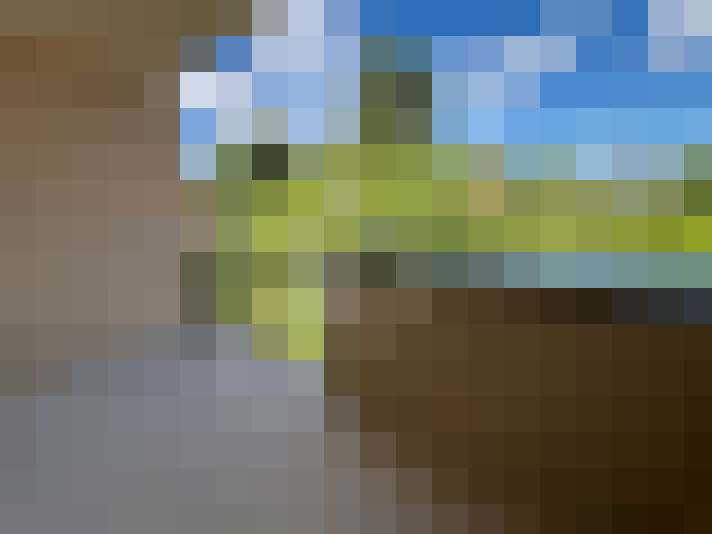  / #7