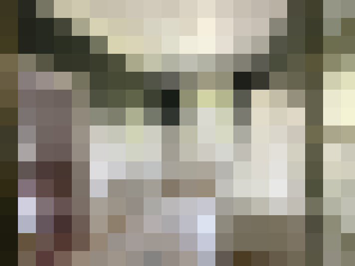  / #20