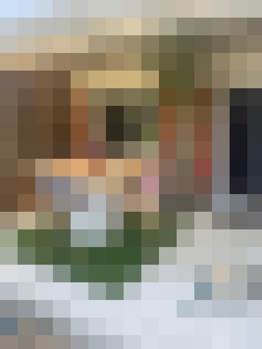  / #16