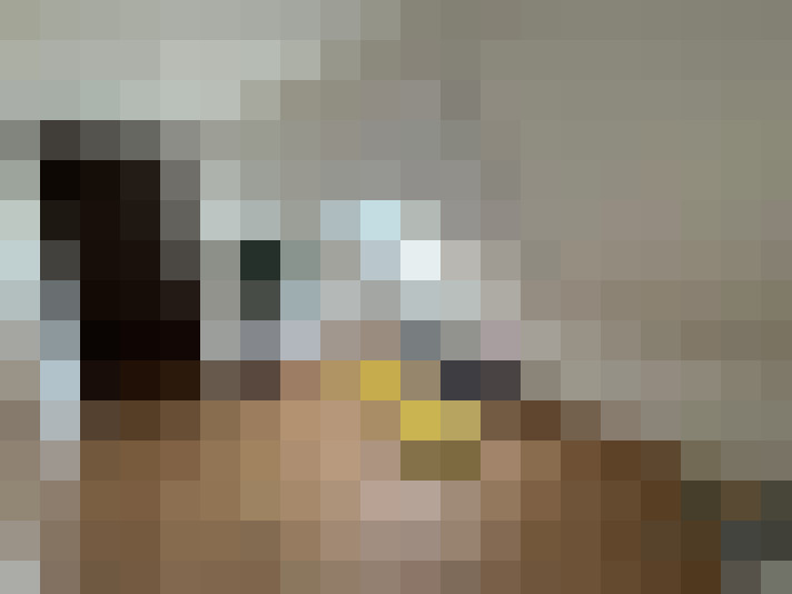  / #13