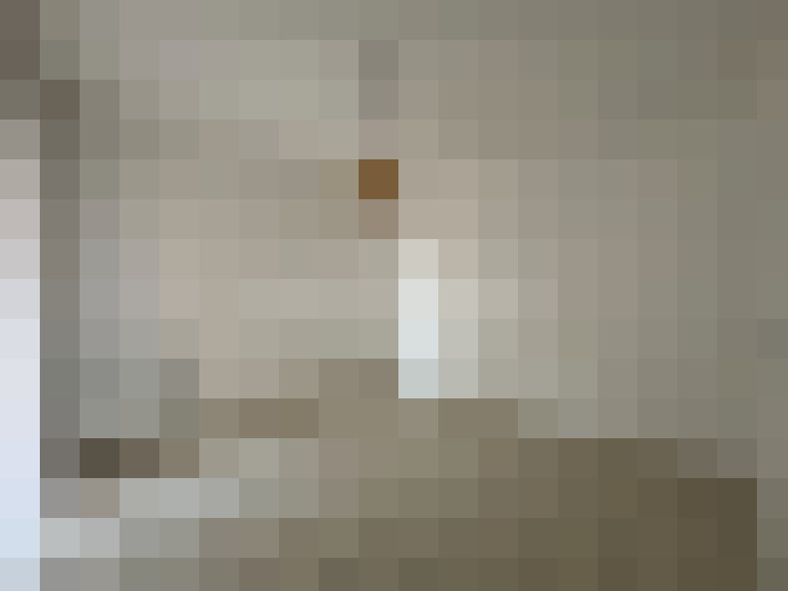  / #19