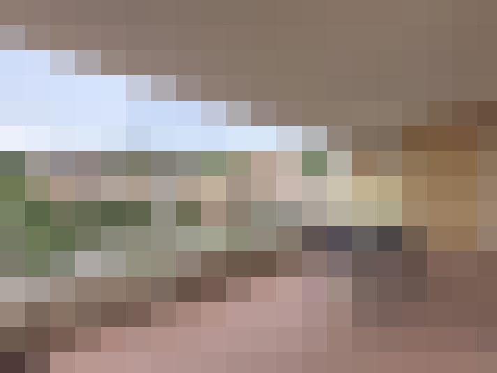  / #14