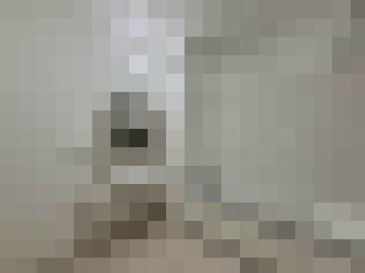  / #8