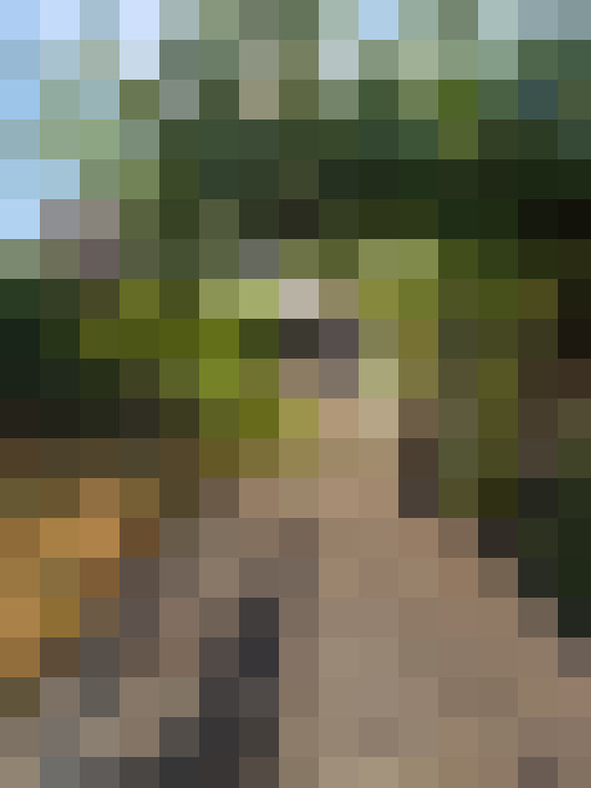  / #12