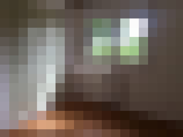  / #15