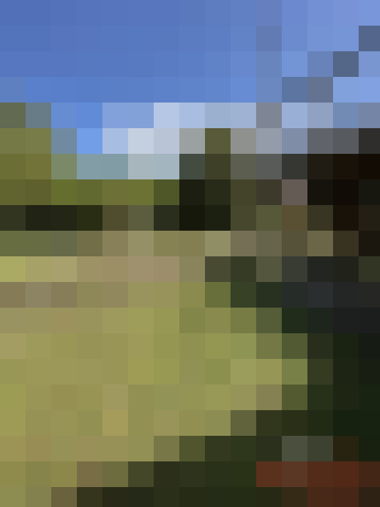  / #16
