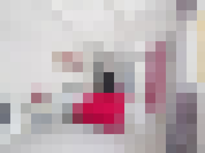  / #11