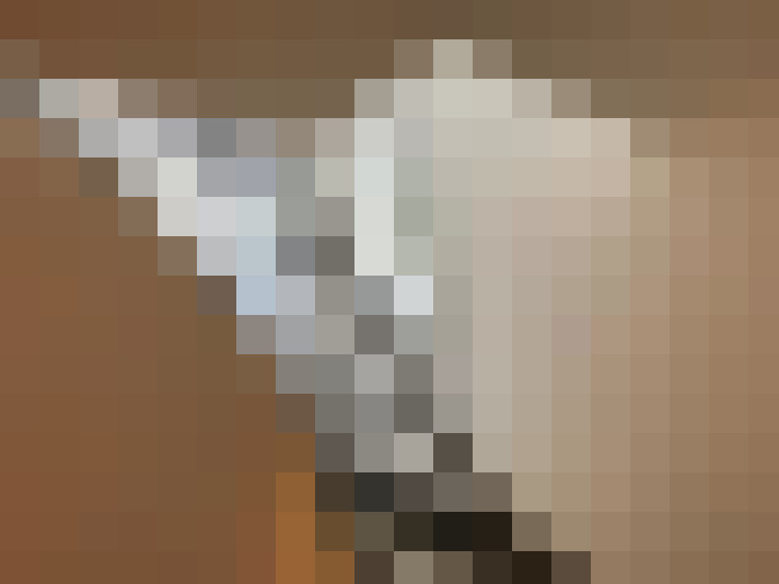  / #12