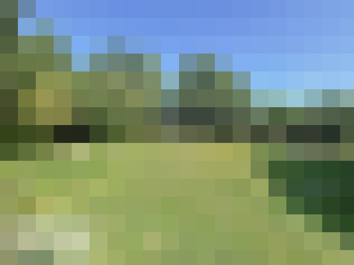  / #17