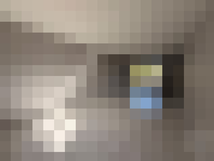  / #7
