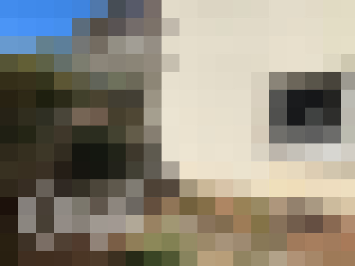  / #13