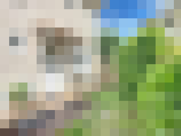  / #17
