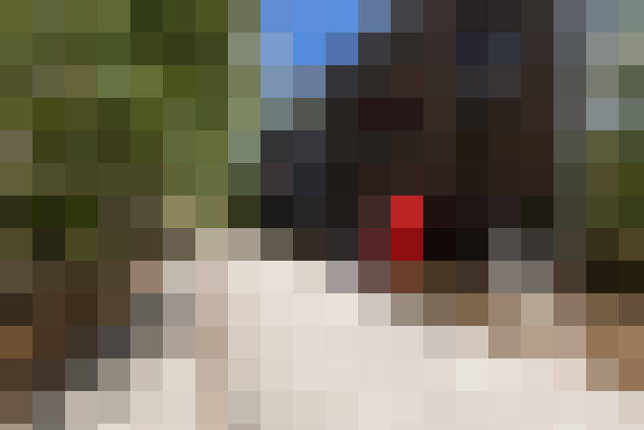  / #9