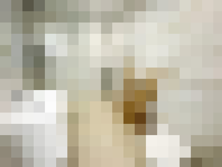  / #15
