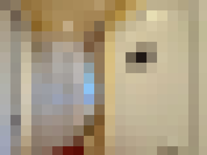  / #15