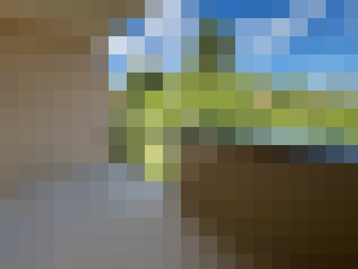  / #7