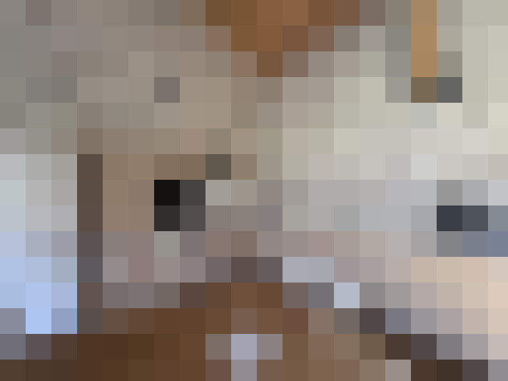  / #14