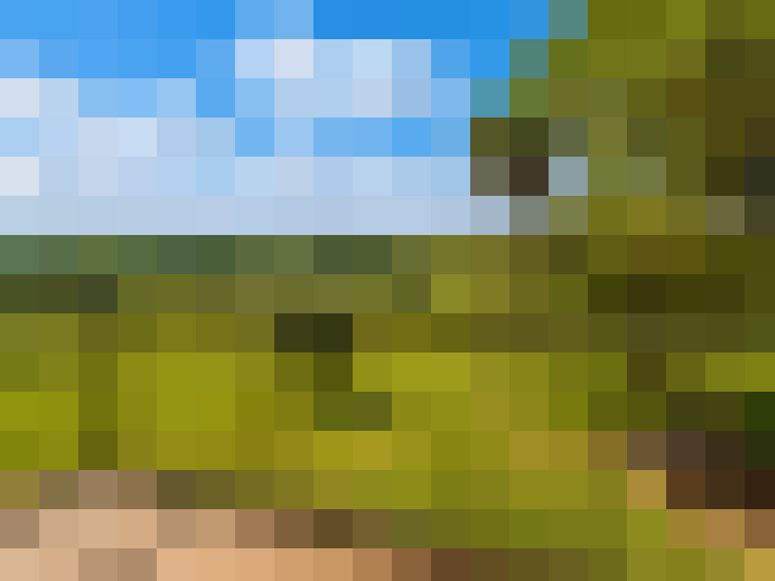  / #8