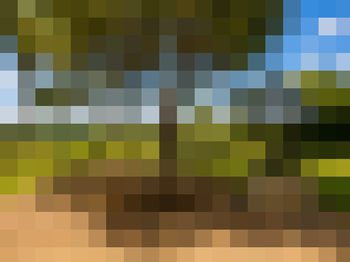  / #14