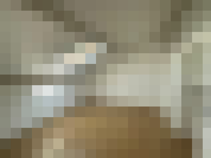  / #11