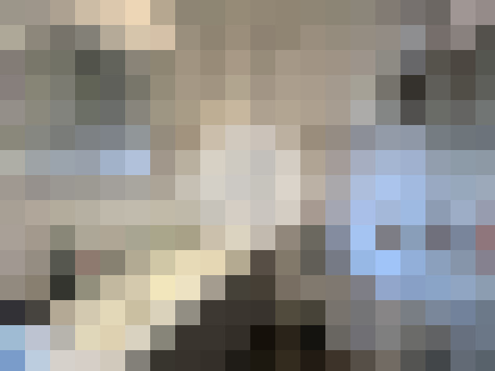  / #8