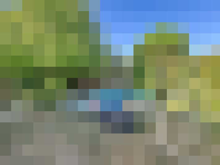  / #15