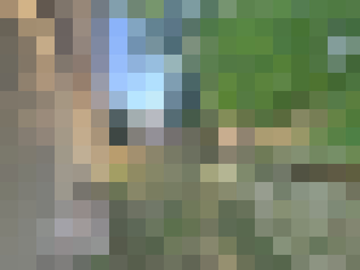  / #17