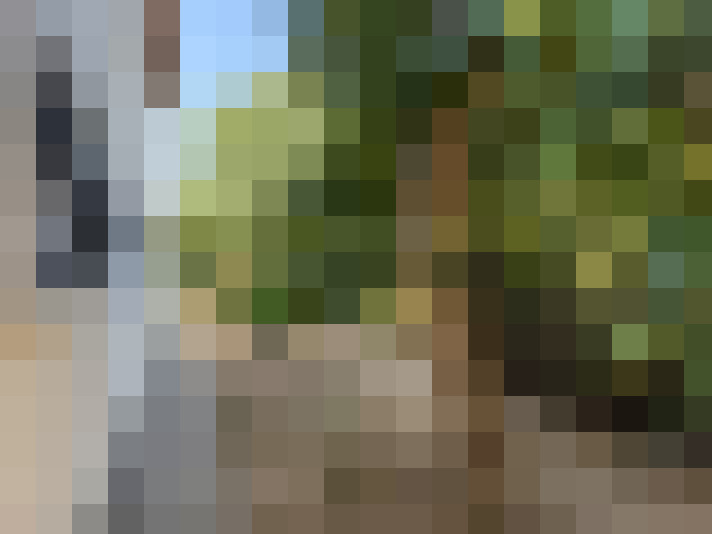  / #18