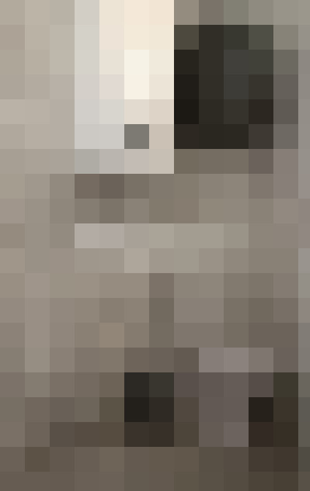  / #13