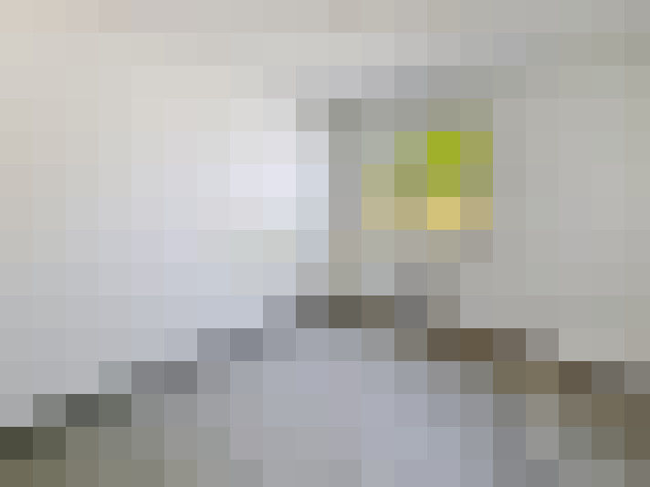  / #7