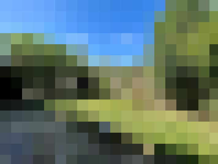  / #15