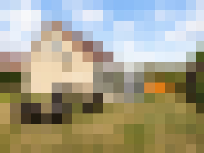  / #9