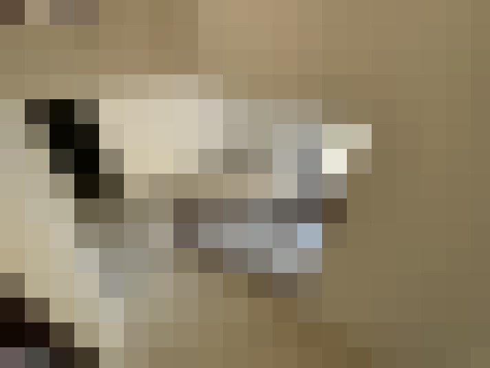  / #14