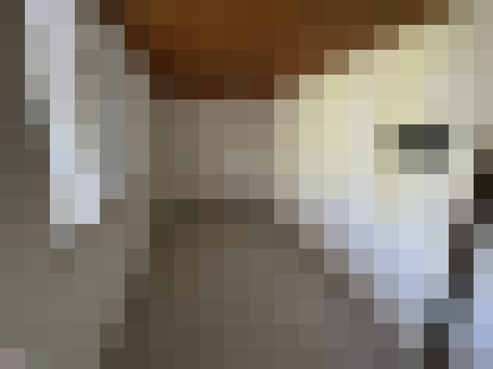  / #17
